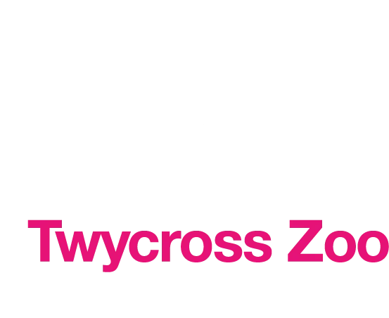  Twycross Zoo Discount codes