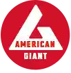  American Giant Discount codes
