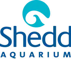  Shedd Aquarium Discount codes
